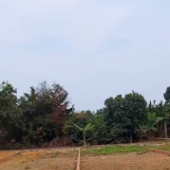 Lốc 4 lô thôn Đức Nghiêm Hoàng Vân 7xx hoanphatland.com